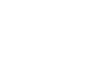 PDI Player Development Index
